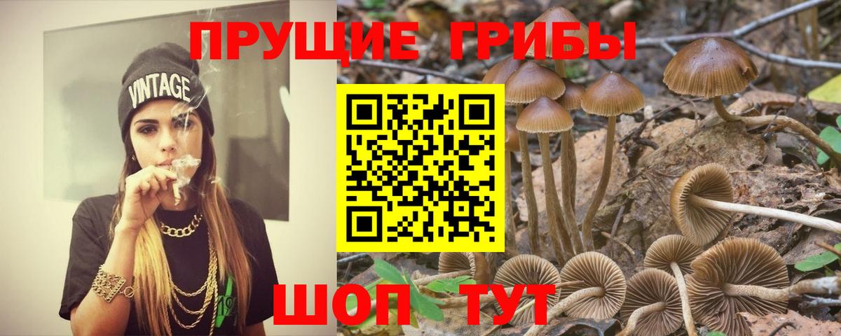 Псилоцибиновые грибы MAGIC MUSHROOMS  Псилоцибиновые грибы Magic Shrooms  Вход с VPN  Кулебаки 